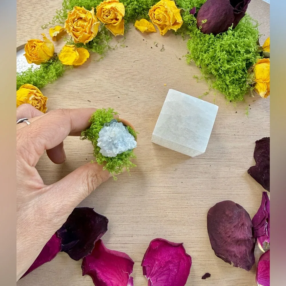 Celestite succulent & Selenite Cube | Peace • Angelic Energy • Spiritual Clarity - Picture 4 of 6